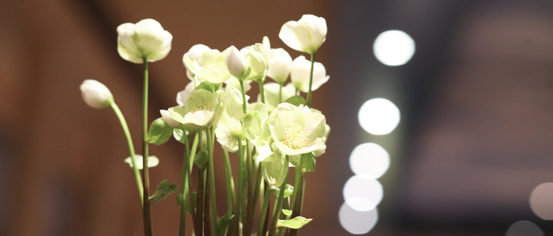 Winter ist Planungszeit für 2026