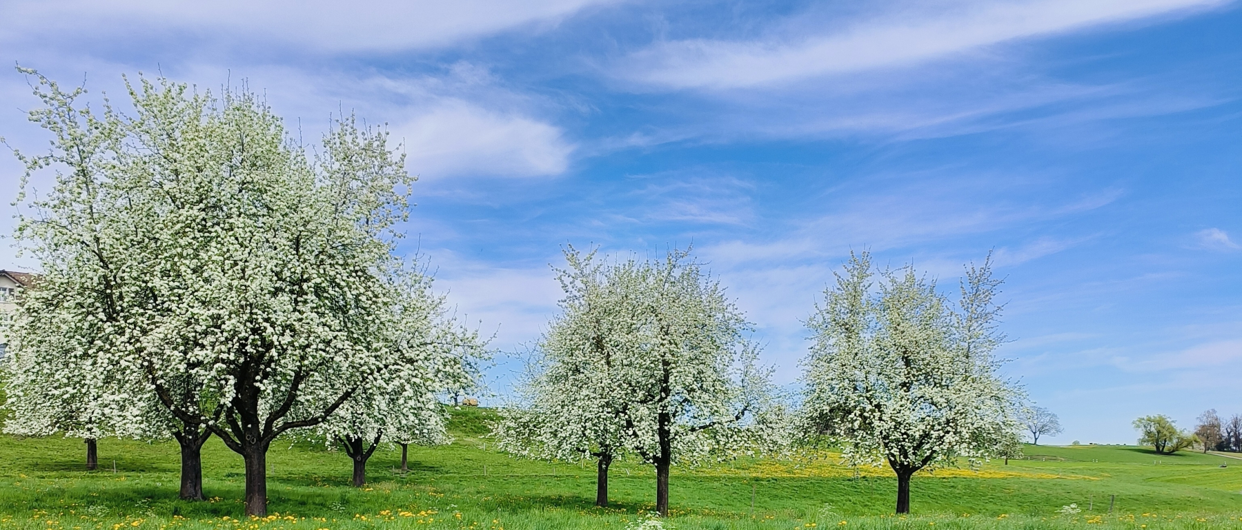 Wann muss ich mit der Planung für meine Hochzeit 2025 beginnen?