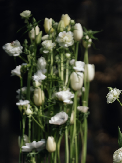 Blumen