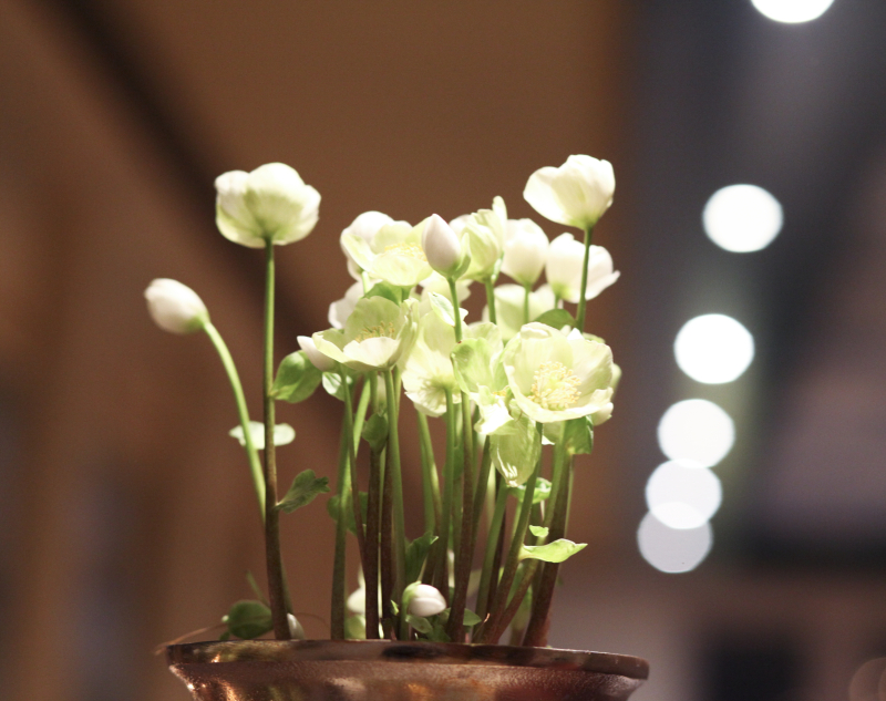 Winter ist Planungszeit für 2026