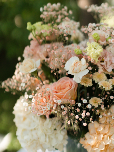 Detail Blumen Peach, Apricot, Malve